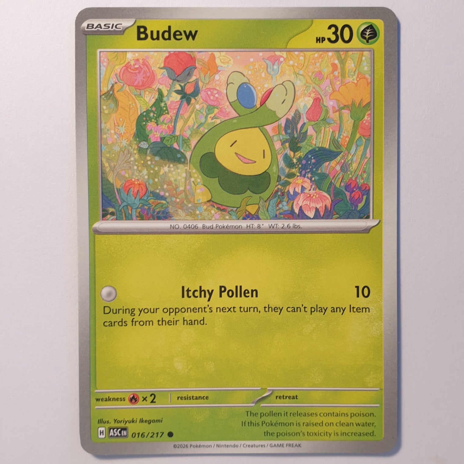 Budew Common ME: Ascended Heroes 016/217 NM