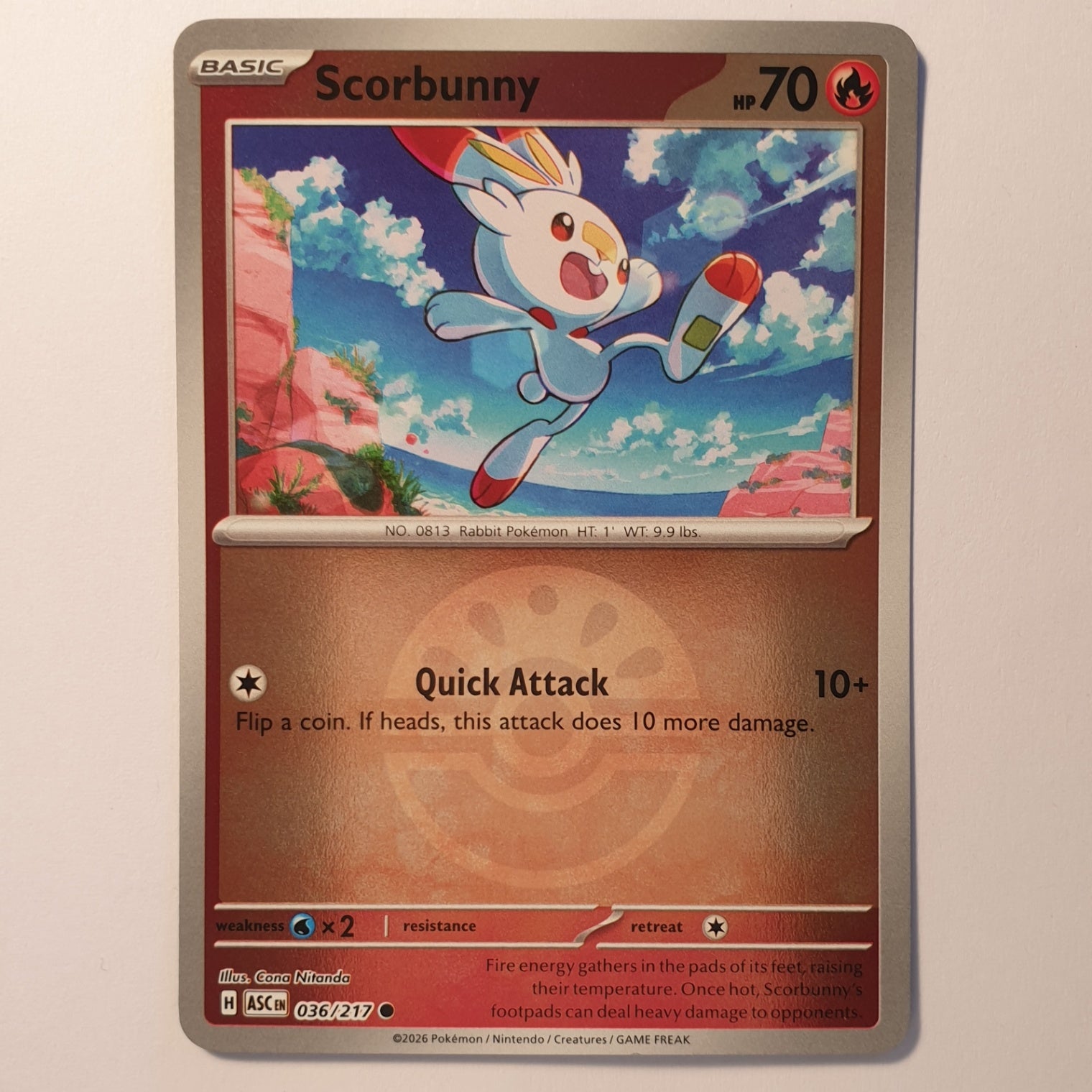 Scorbunny Common ME: Ascended Heroes 036/217 NM