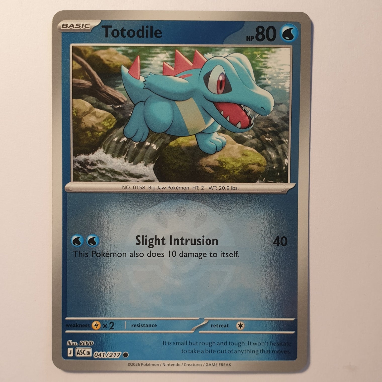 Totodile Common ME: Ascended Heroes 041/217 NM