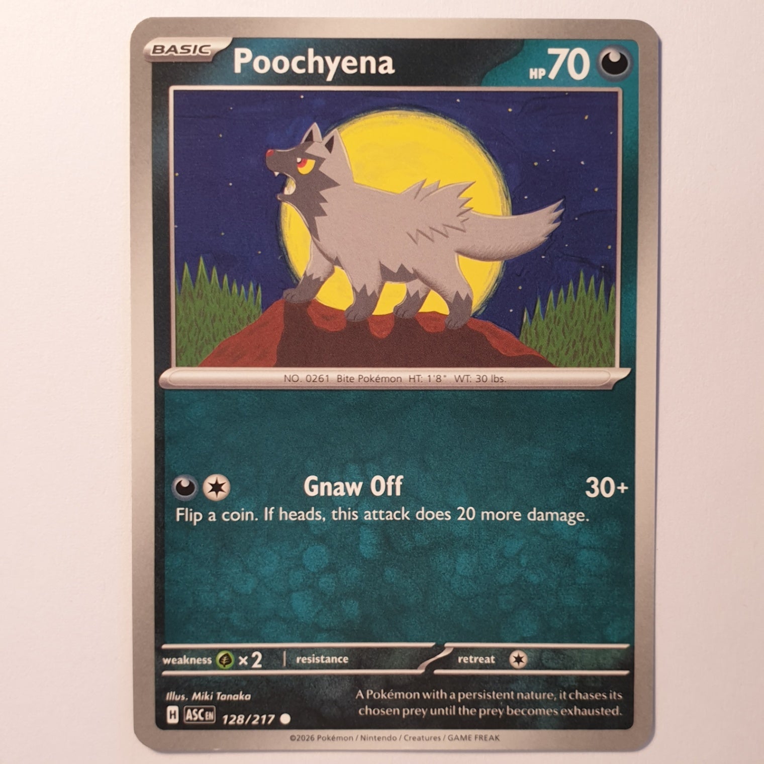 Poochyena Common ME: Ascended Heroes 128/217 NM