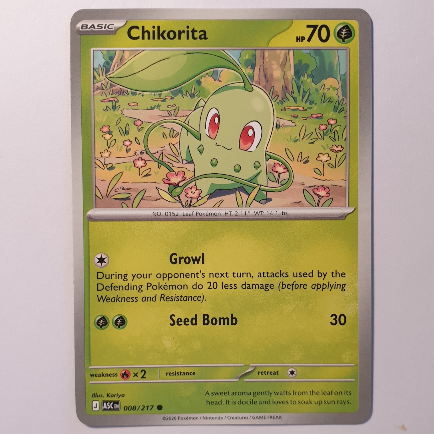 Chikorita Common ME: Ascended Heroes 008/217 NM