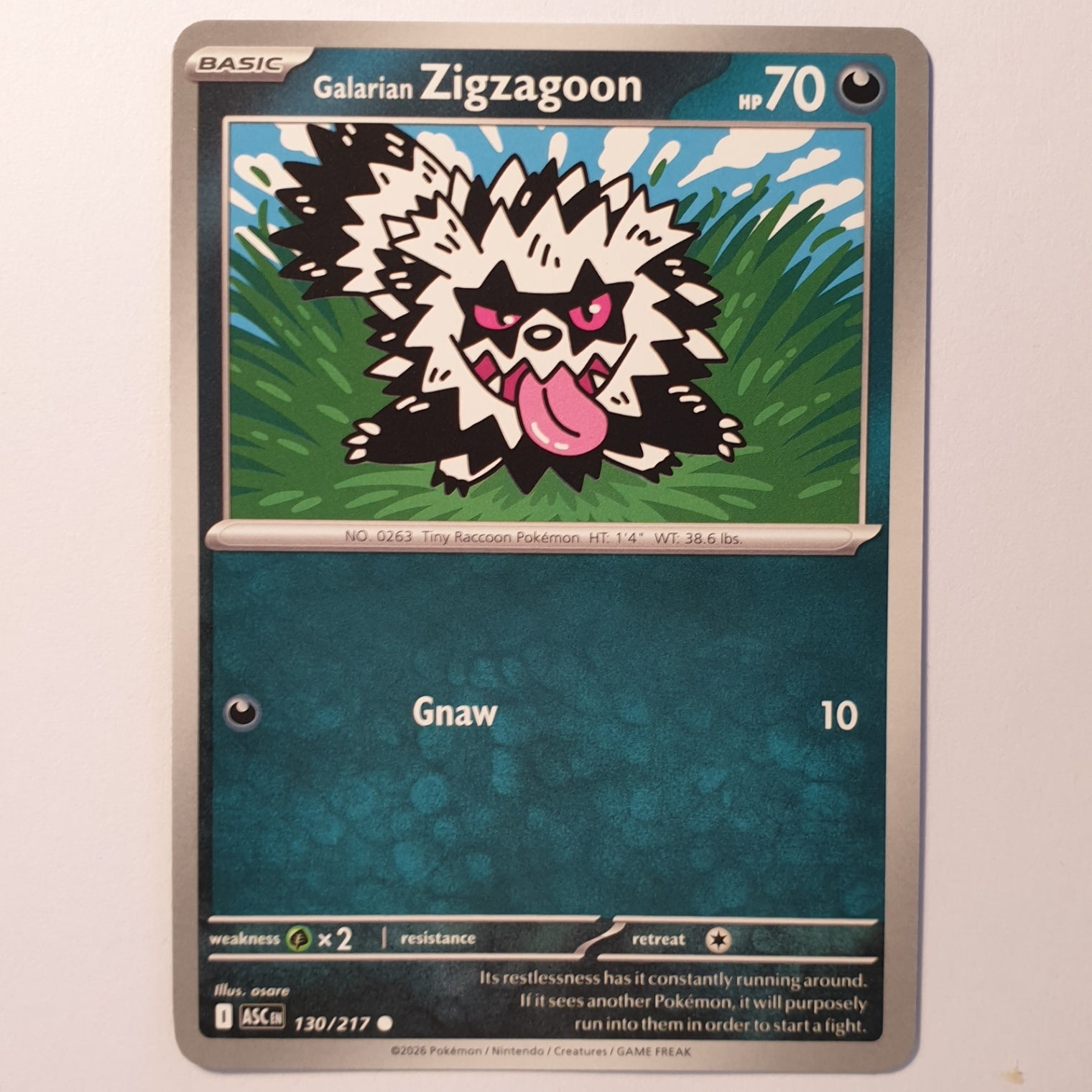 Galarian Zigzagoon Common ME: Ascended Heroes 130/217 NM