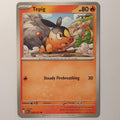 Tepig Common ME: Ascended Heroes 029/217 NM