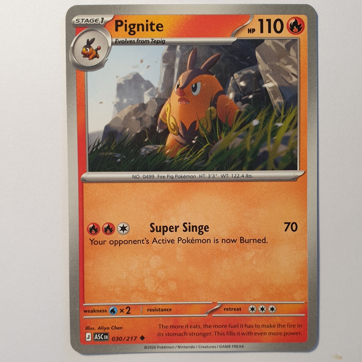 Pignite Uncommon ME: Ascended Heroes 030/217 NM