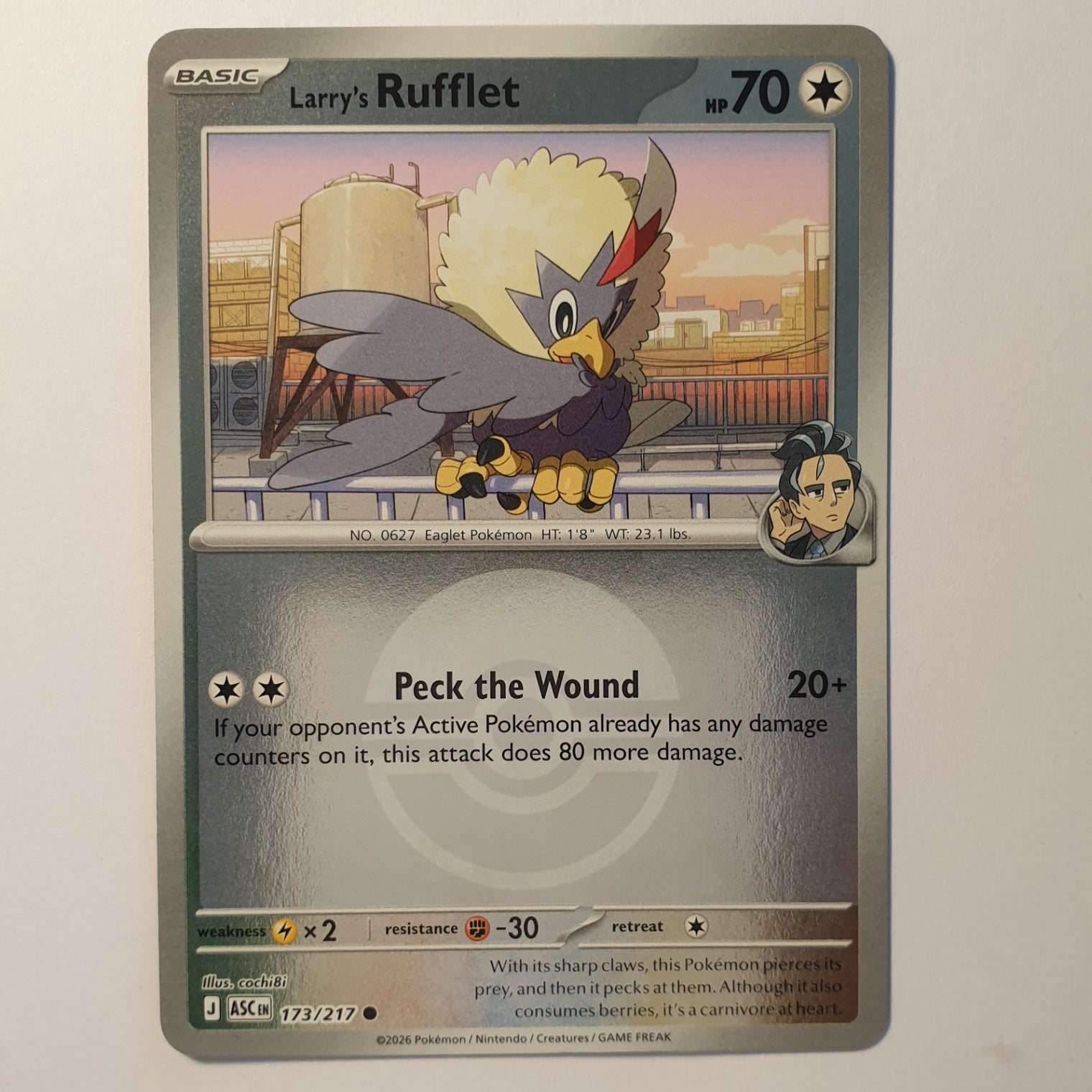 Larry's Rufflet Common ME: Ascended Heroes 173/217 NM