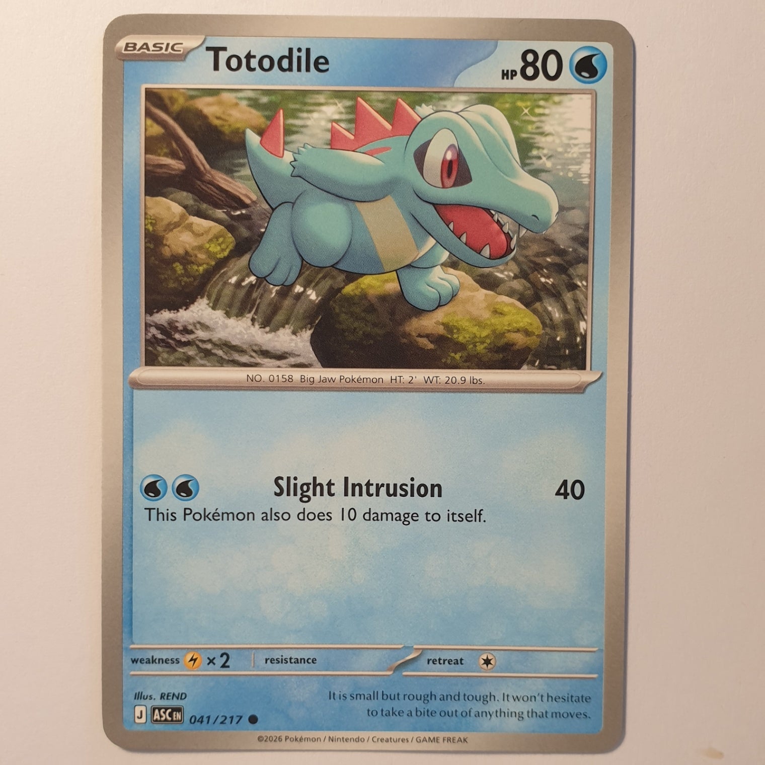 Totodile Common ME: Ascended Heroes 041/217 NM