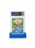 PCG Slab Holder